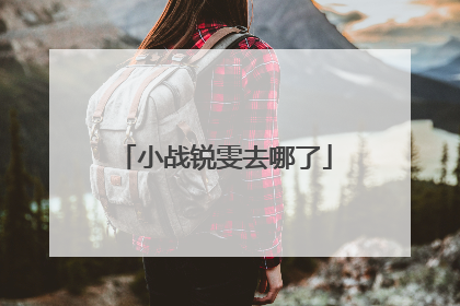 小战锐雯去哪了