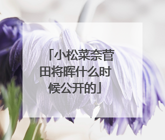 小松菜奈菅田将晖什么时候公开的