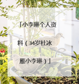 小李琳个人资料（34岁杜冰雁小李琳）