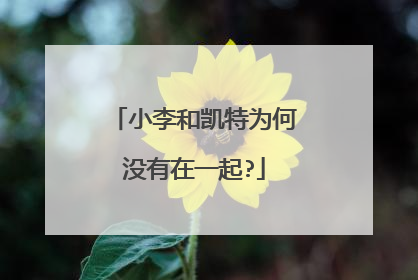 小李和凯特为何没有在一起?