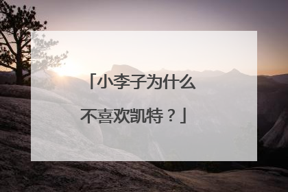 小李子为什么不喜欢凯特？