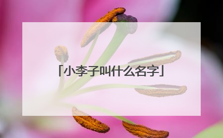 小李子叫什么名字