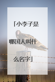 小李子是哪国人叫什么名字