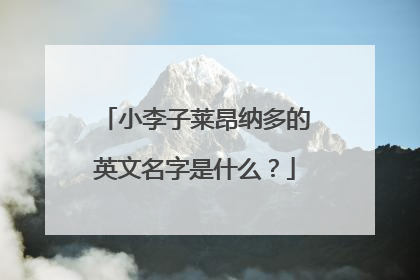 小李子莱昂纳多的英文名字是什么?