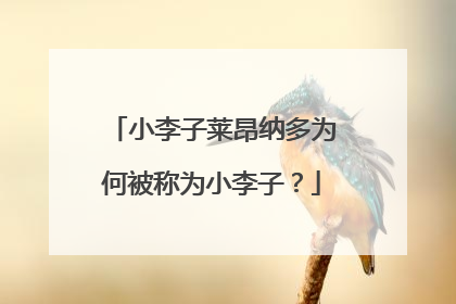 小李子莱昂纳多为何被称为小李子?