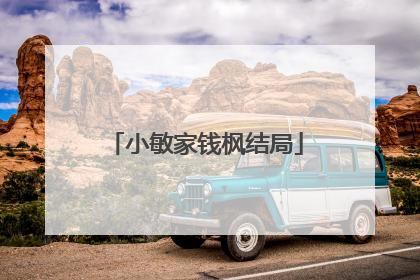 小敏家钱枫结局