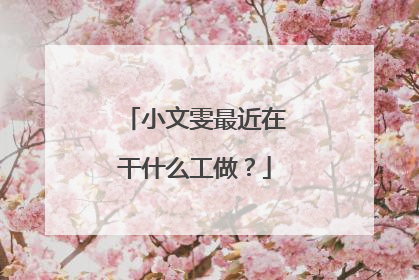 小文雯最近在干什么工做？