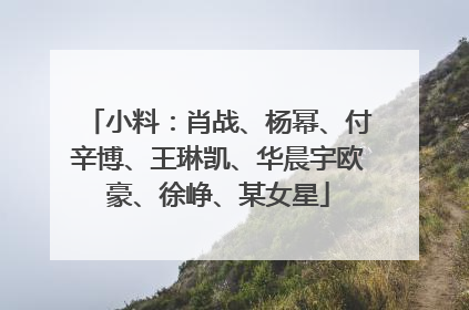 小料：肖战、杨幂、付辛博、王琳凯、华晨宇欧豪、徐峥、某女星