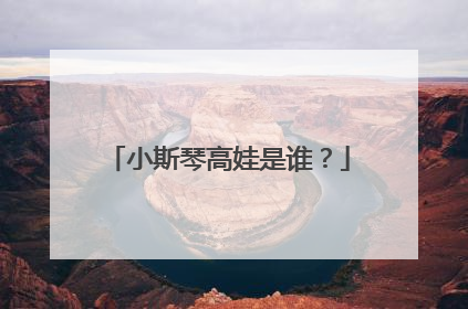 小斯琴高娃是谁？