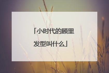 小时代的顾里发型叫什么