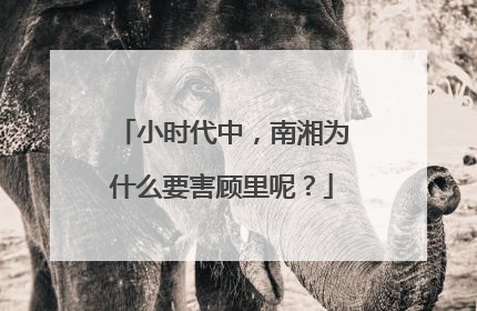 小时代中，南湘为什么要害顾里呢？
