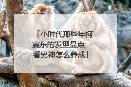小时代那些年柯震东的发型盘点 看男神怎么养成