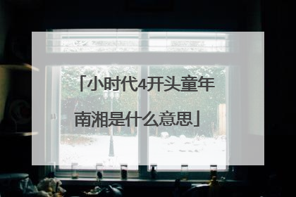 小时代4开头童年南湘是什么意思