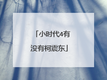 小时代4有没有柯震东
