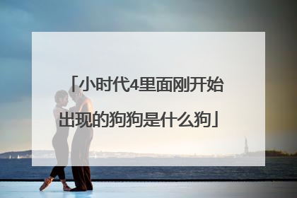 小时代4里面刚开始出现的狗狗是什么狗
