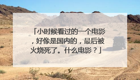 小时候看过的一个电影,好像是国内的,最后被火烧死了。什么电影?