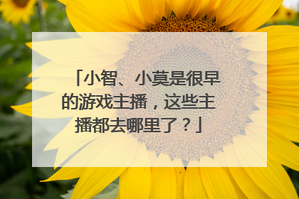 小智、小莫是很早的游戏主播，这些主播都去哪里了？