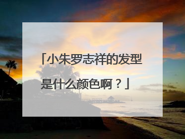 小朱罗志祥的发型是什么颜色啊？