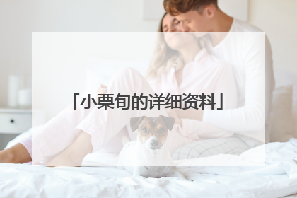 小栗旬的详细资料