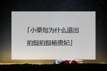 小栗旬为什么退出拍摄拍摄杨贵妃