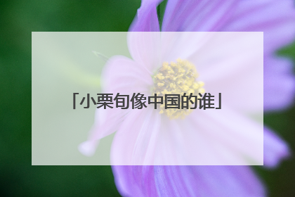 小栗旬像中国的谁