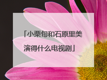 小栗旬和石原里美演得什么电视剧