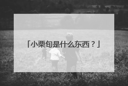 小栗旬是什么东西?