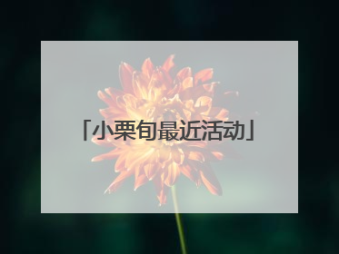小栗旬最近活动
