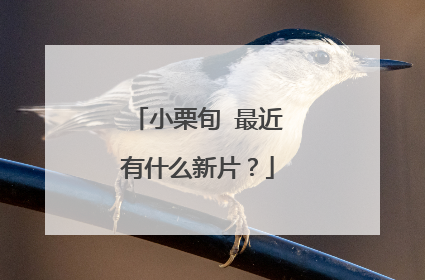 小栗旬 最近有什么新片？