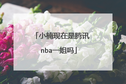 小楠现在是腾讯nba一姐吗