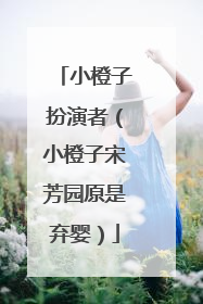 小橙子扮演者(小橙子宋芳园原是弃婴)