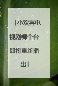 小欢喜电视剧哪个台即将重新播出