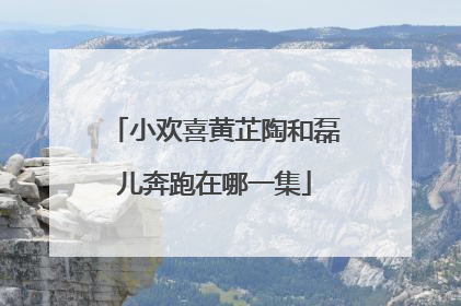 小欢喜黄芷陶和磊儿奔跑在哪一集