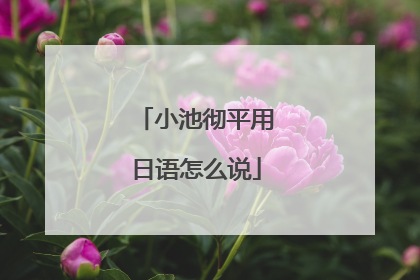 小池彻平用日语怎么说