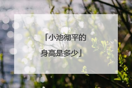 小池彻平的身高是多少