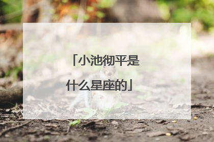 小池彻平是什么星座的