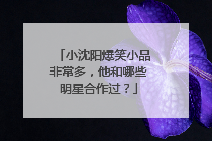 小沈阳爆笑小品非常多,他和哪些明星合作过?