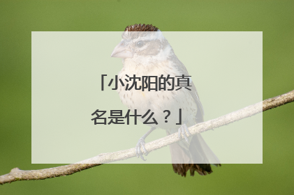 小沈阳的真名是什么?