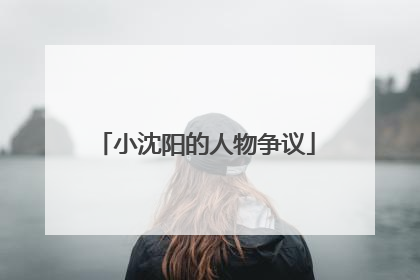 小沈阳的人物争议