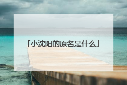 小沈阳的原名是什么