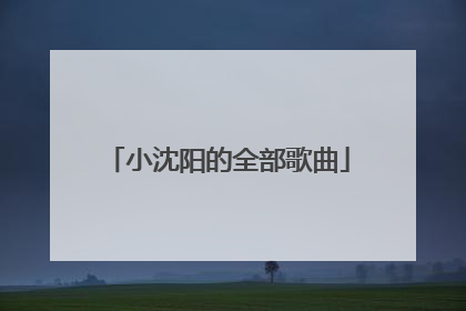 小沈阳的全部歌曲