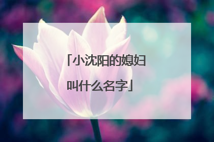 小沈阳的媳妇叫什么名字