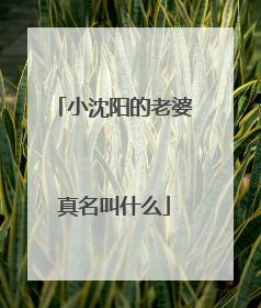 小沈阳的老婆真名叫什么