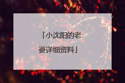 小沈阳的老婆详细资料