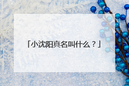 小沈阳真名叫什么？