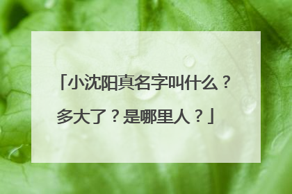 小沈阳真名字叫什么?多大了?是哪里人?