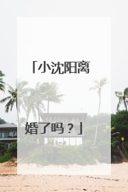 小沈阳离婚了吗？