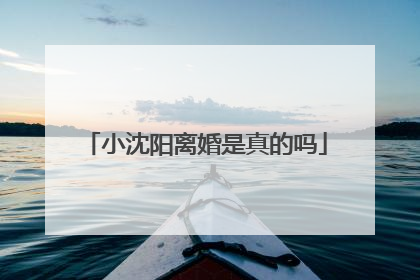 小沈阳离婚是真的吗
