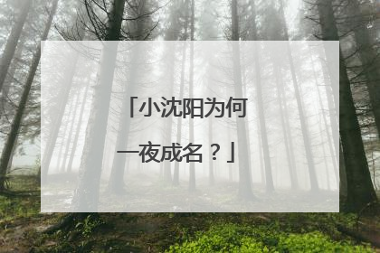 小沈阳为何一夜成名？