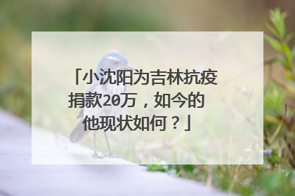 小沈阳为吉林抗疫捐款20万,如今的他现状如何?